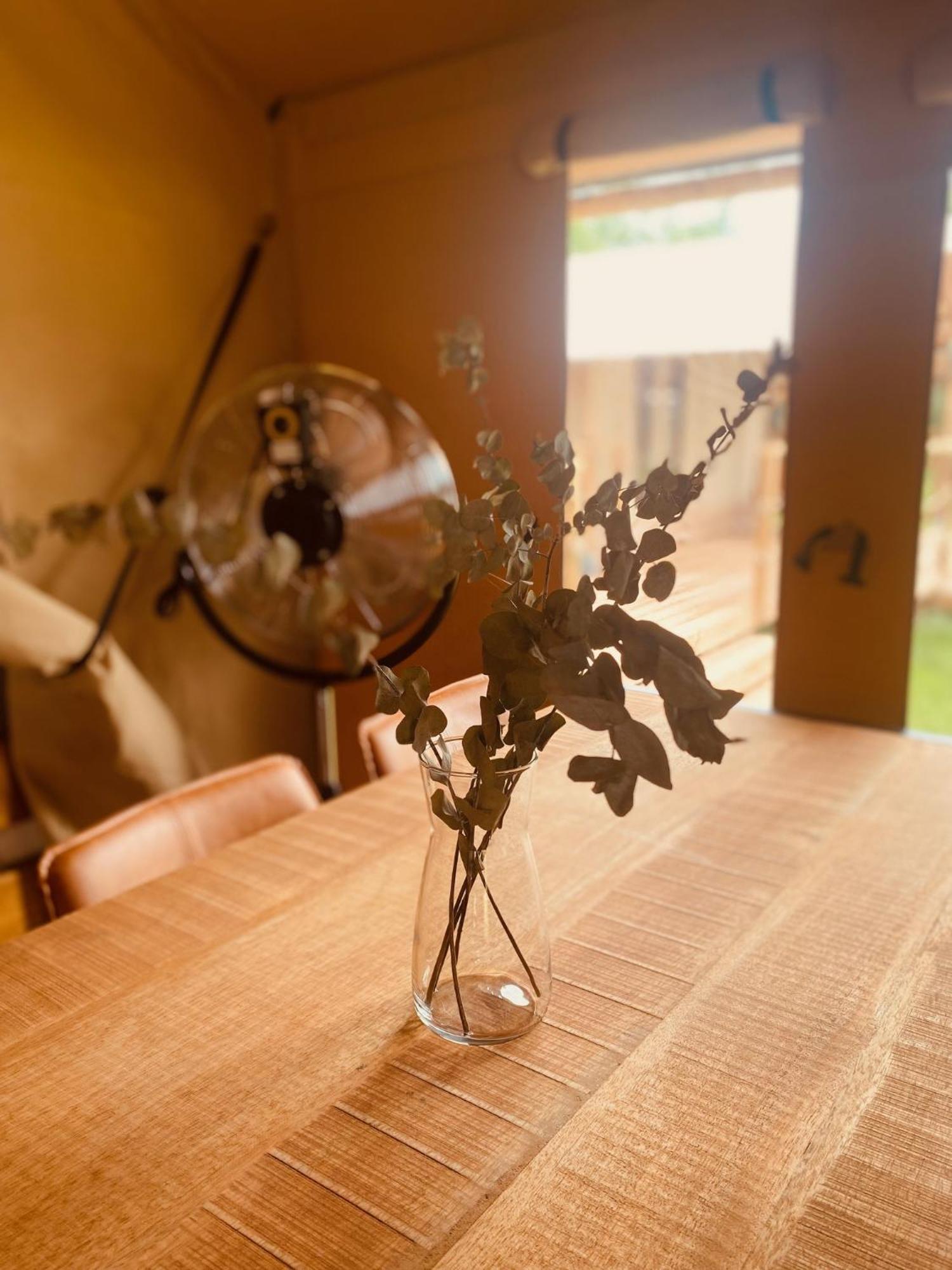 Greenvalleyglamping *